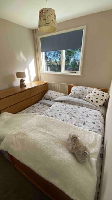 Cheerful 3 Bedroom Bungalow With Indoor Fire Place Gloucester Extérieur photo